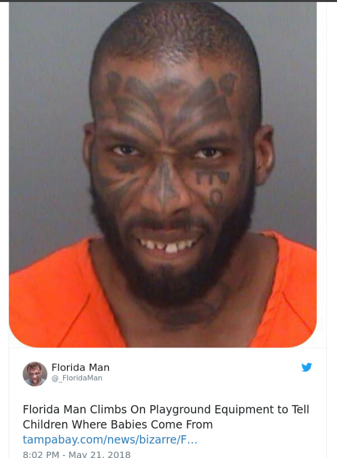 WILD FLORIDA MAN HEADLINES